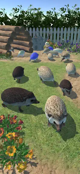 Game screenshot Hedgehog Friends hack