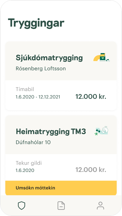 TM – Hugsum í framtíð Screenshot