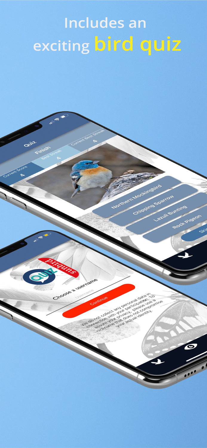 Bird Id USA - backyard birds