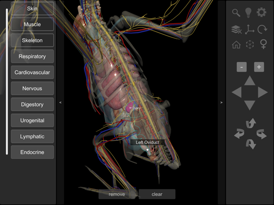 3D Bird Anatomy iPad screenshot 7 - Education app