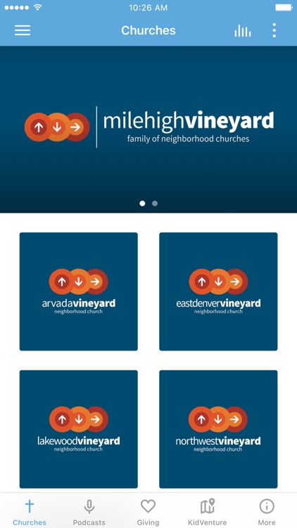 Mile High Vineyard