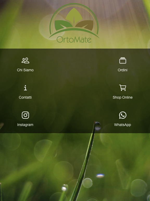 Screenshot #5 pour Ortomate Express