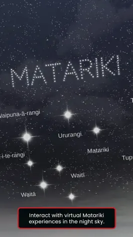 Game screenshot Matariki hack