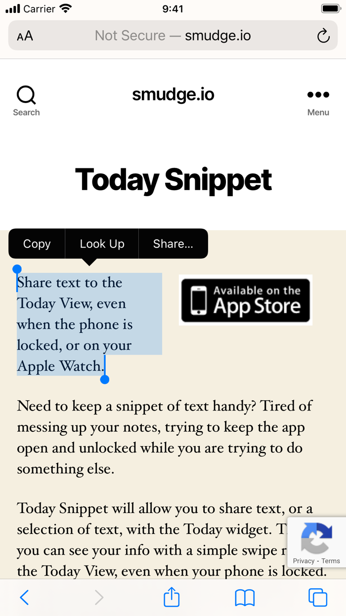 Today Snippet Widget