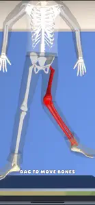 Chiropractor 3D screenshot #1 for iPhone