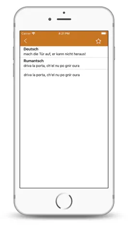 Game screenshot Dicziunari Rumantsch Vallader hack