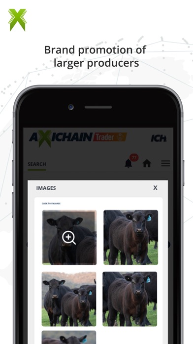 Smart Trader Screenshot
