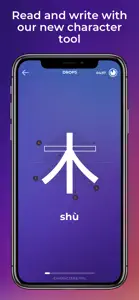 Scripts: Learn Chinese writing screenshot #4 for iPhone