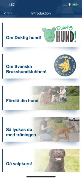 Game screenshot Duktig Hund! hack