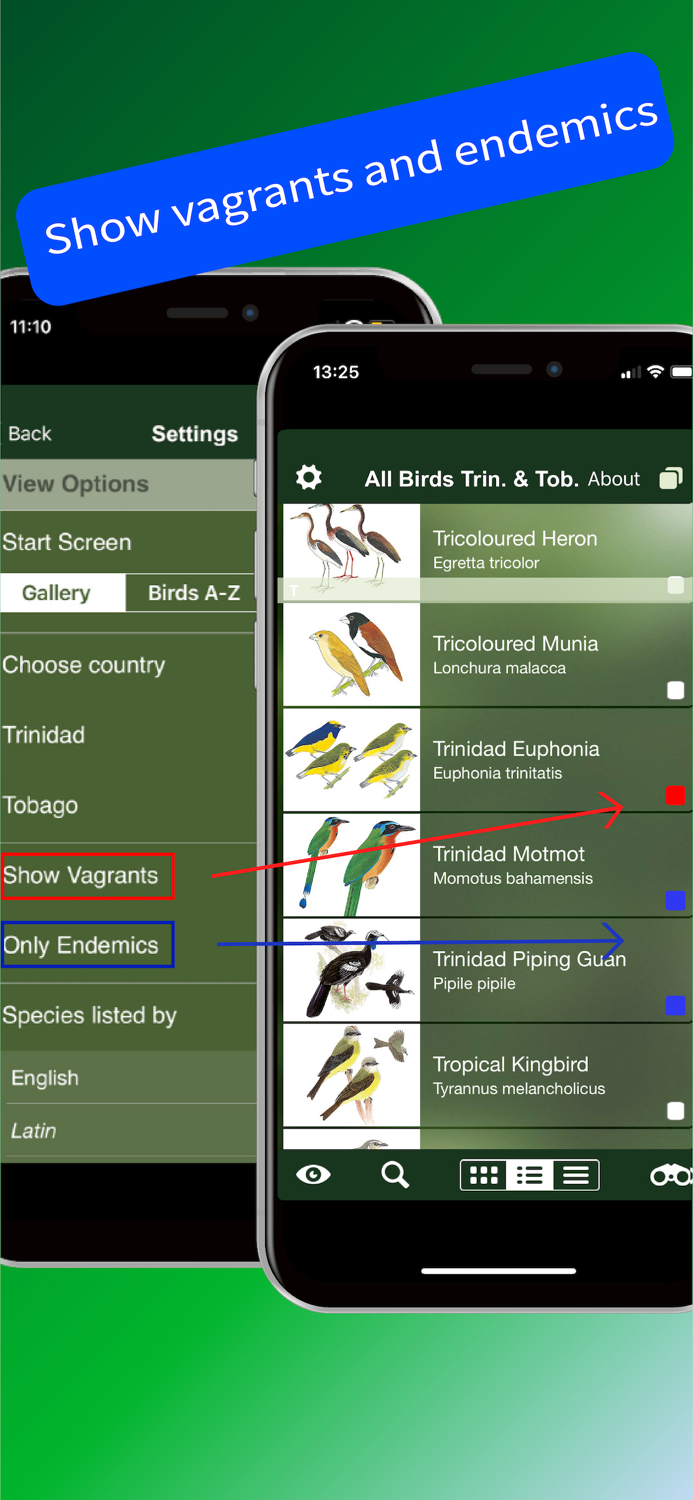 All Birds Trinidad and Tobago