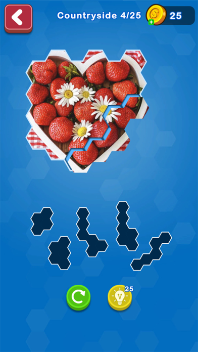 Hexa Puzzle Jigsaws Screenshot