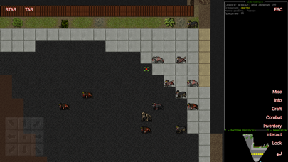 Cataclysm Roguelike RPG 0.E Screenshots