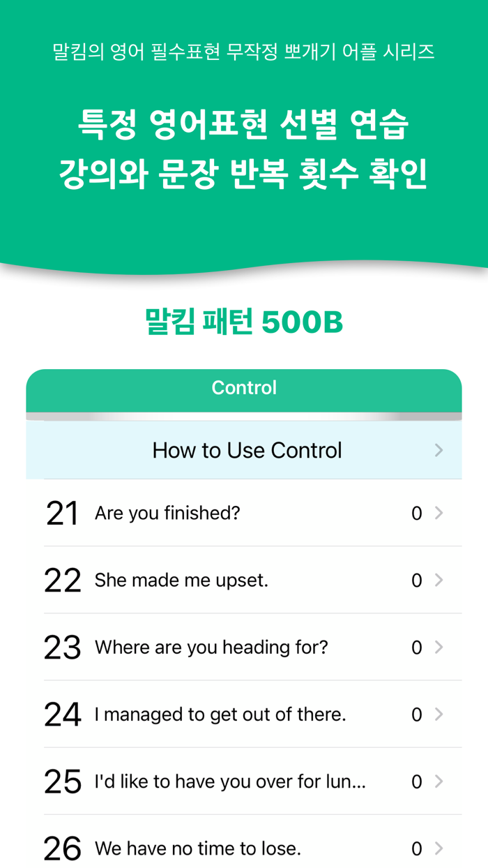 말킴의 영어회화 패턴500-B