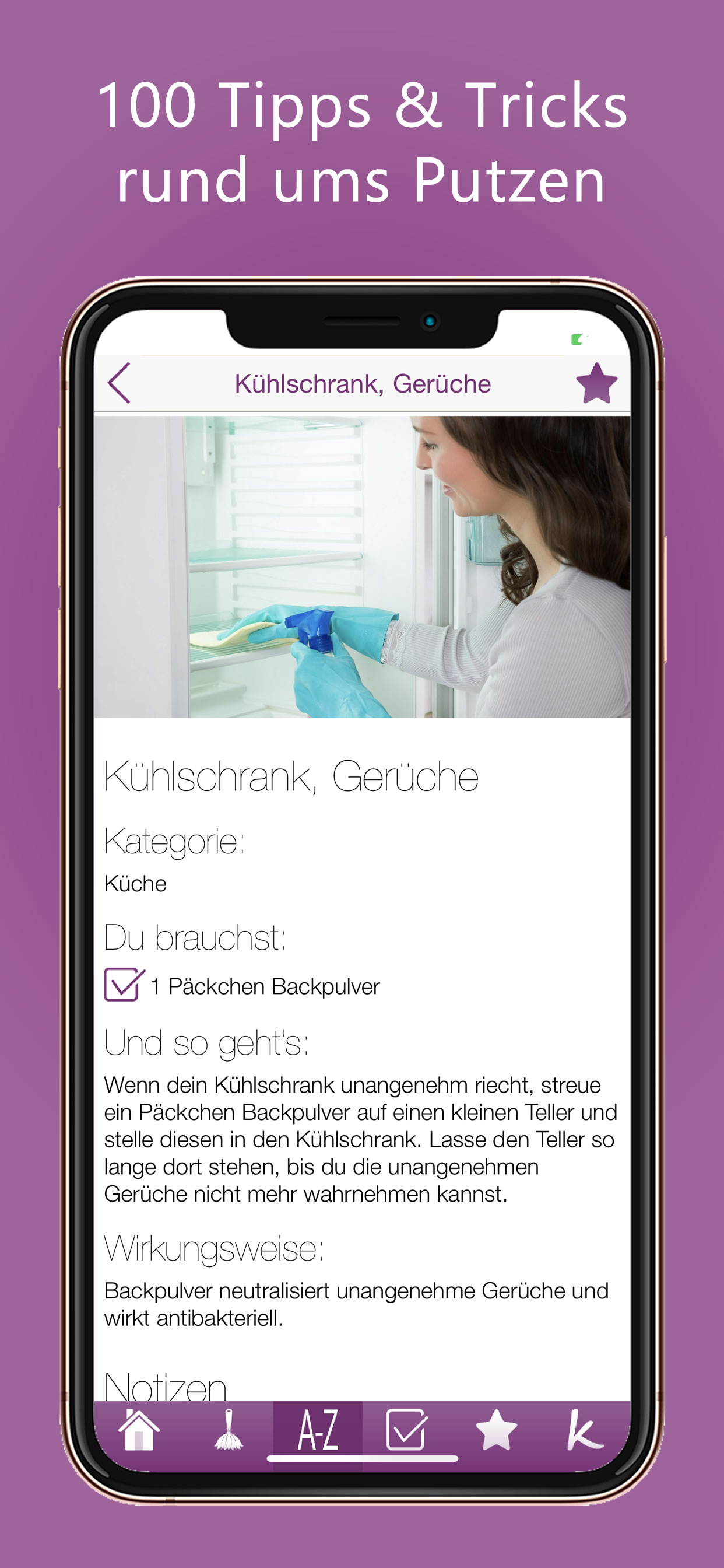 100 Tipps für das Putzen PRO