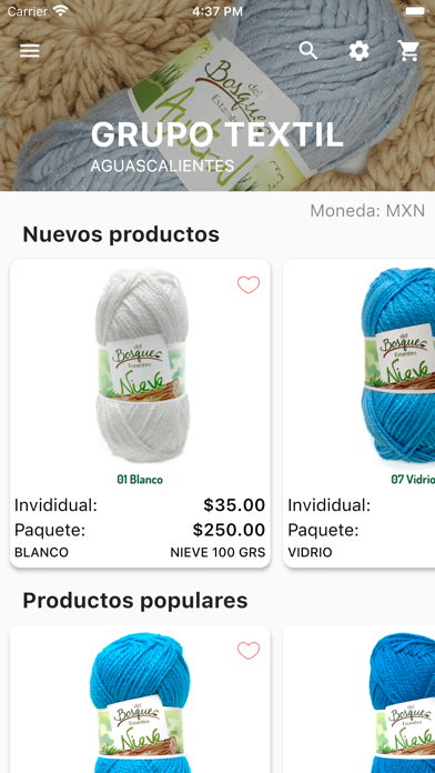 Grupo Textil de Aguascalientes Screenshot