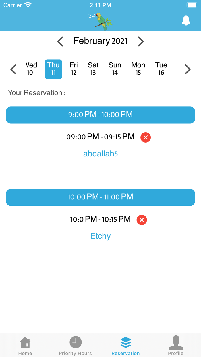 English Bulbul Teacher