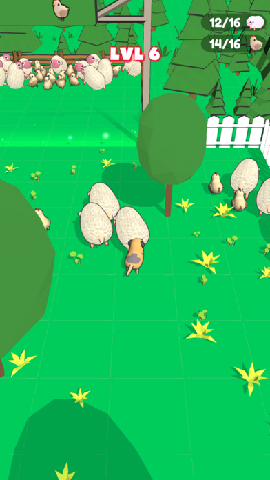 Farm Dog Herding Screenshot