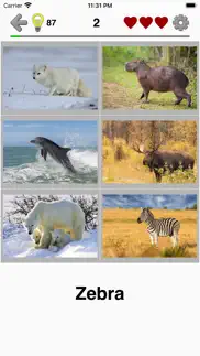 animals quiz - mammals in zoo problems & solutions and troubleshooting guide - 1