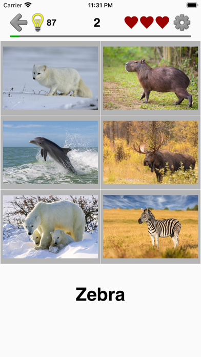 Animals Quiz - Mammals in Zoo screenshot 2