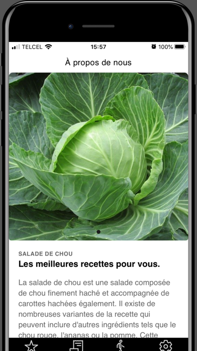 Screenshot #1 pour Recettes de salade de chou