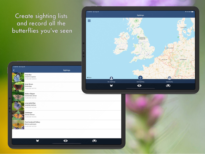Butterfly Id - UK Field Guide