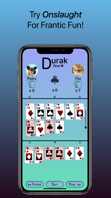 DurakOne Screenshot