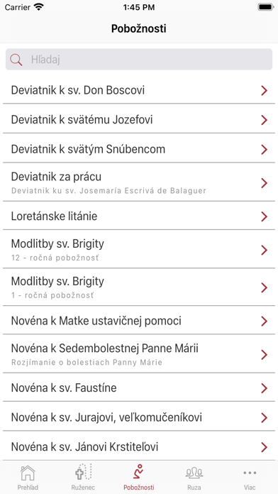 Pútnik - Na ceste k svätosti Screenshot