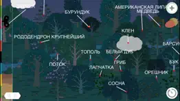 Растения от tinybop айфон картинки 1