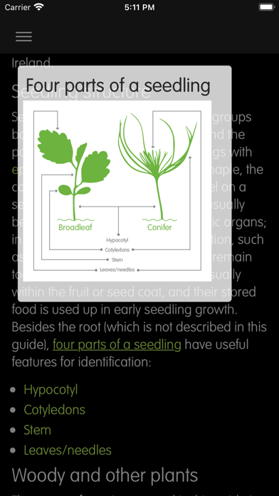 Forest Seedlings screenshot 4