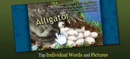 Game screenshot Alligator at Saw Grass Road hack