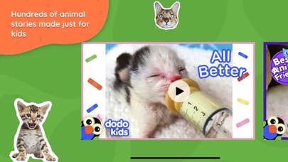 Dodo Kids - Fun Animal Videos Screenshot
