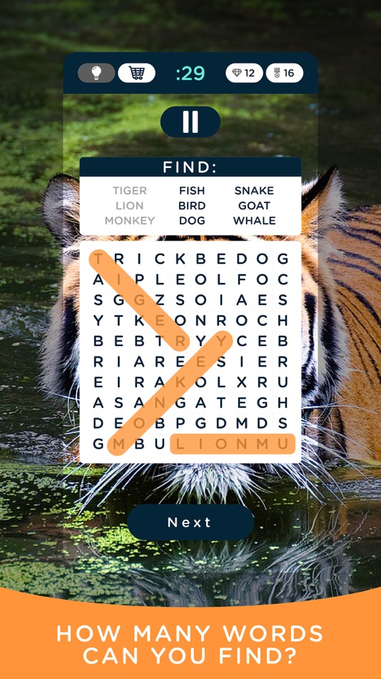 Word Search The Game - 1.1.1 - (iOS)