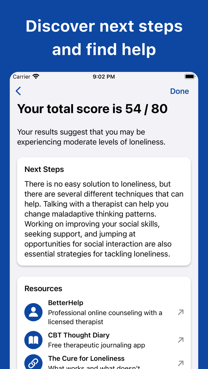 Loneliness Test