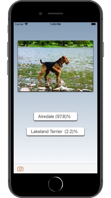 Dog Breed AI Screenshot