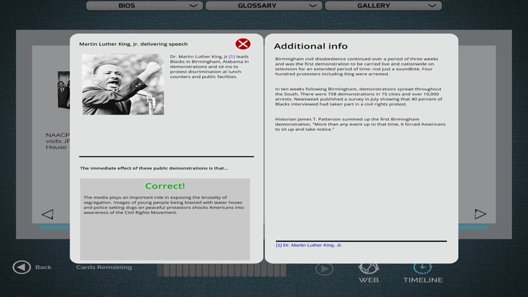 Freedom Summer screenshot-4
