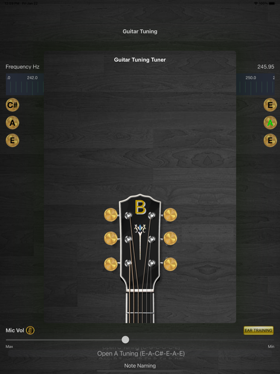 Screenshot #6 pour Guitar Tuning Tuner