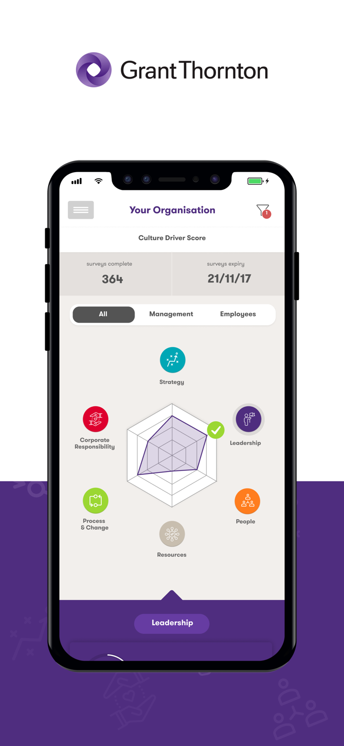 Business Risk Services