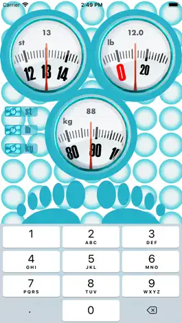 Game screenshot Body Weight Unit Converter apk