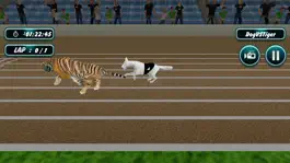 Game screenshot Dog Racing apk