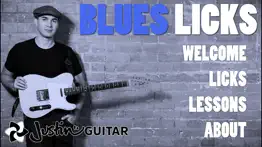 blues licks problems & solutions and troubleshooting guide - 4
