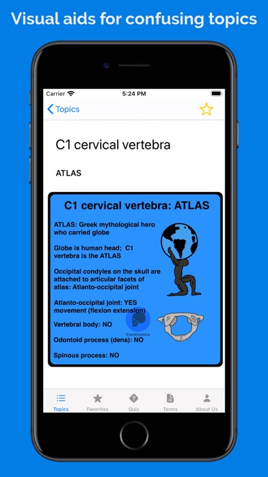 Anatnomics: Anatomy mnemonics Screenshot