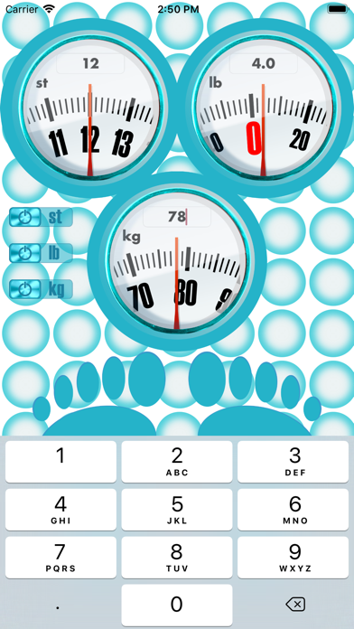Body Weight Unit Converter Screenshot