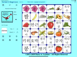 Game screenshot Korean Words 4 Beginners apk