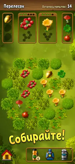 Game screenshot Грибники: дары леса mod apk