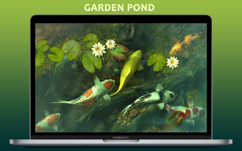 Koi Pond 3D Screenshot