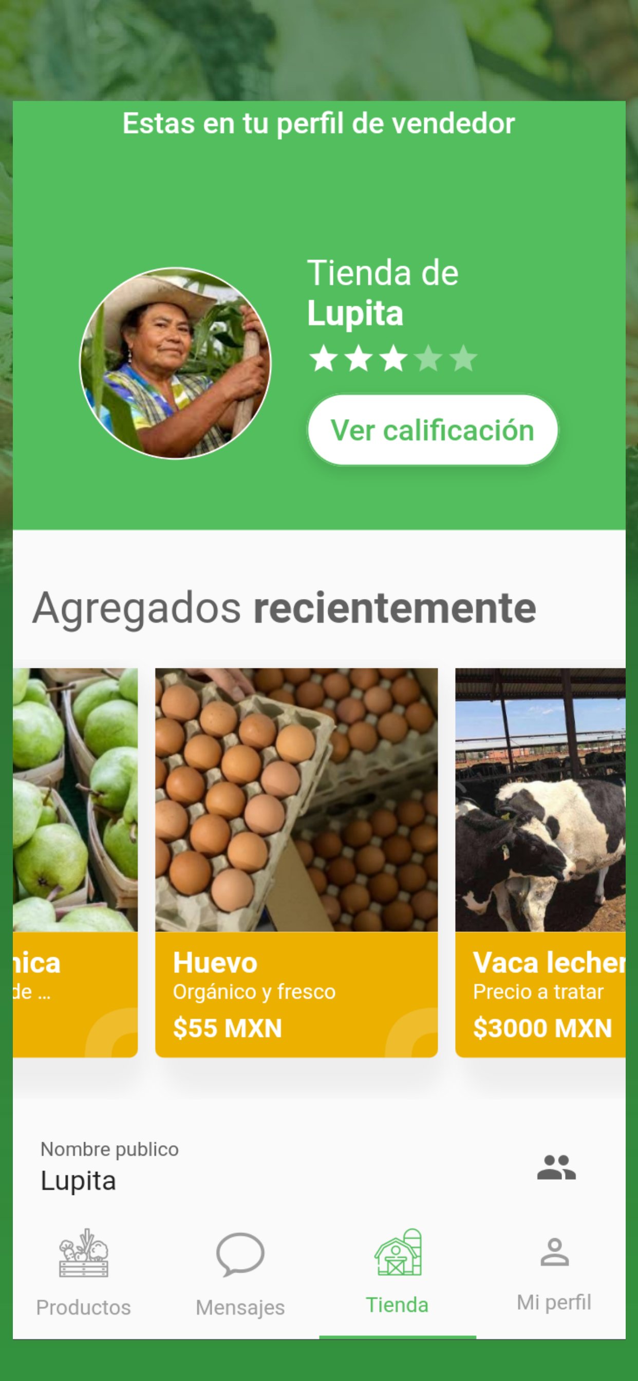 Merkado Verde