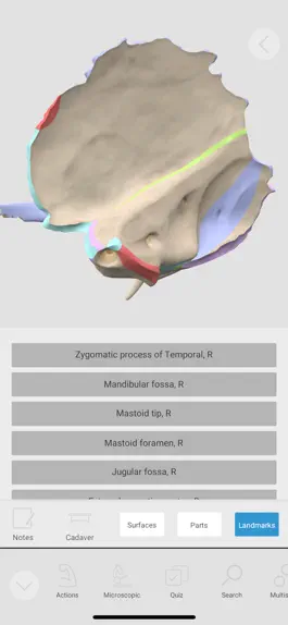 Game screenshot 3D Organon Anatomy Enterprise hack