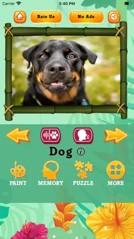Game screenshot Animals Sounds - Learn Animals mod apk