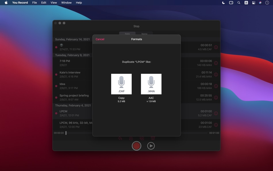 #9. You Record Pro (macOS) By: Eval'das Sichyunas