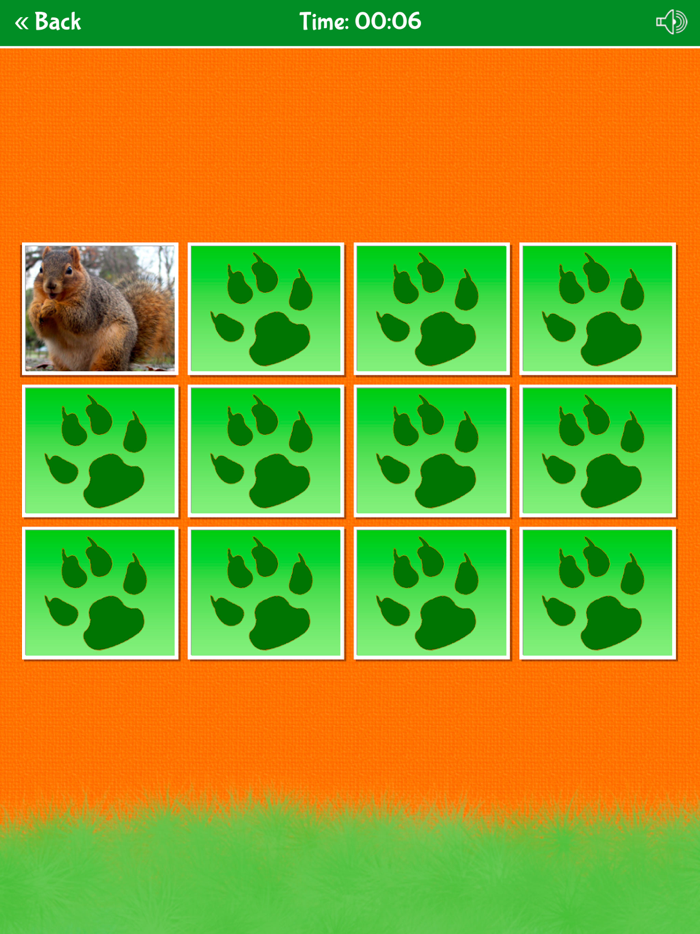 Zoo Animals Matching Game